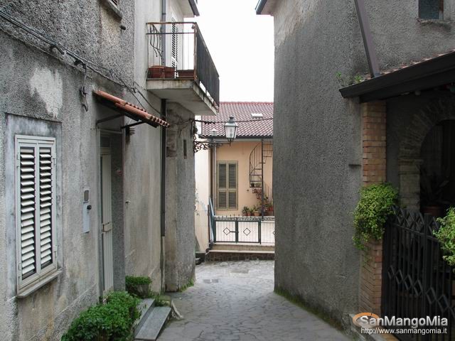 Rughe suprane 008